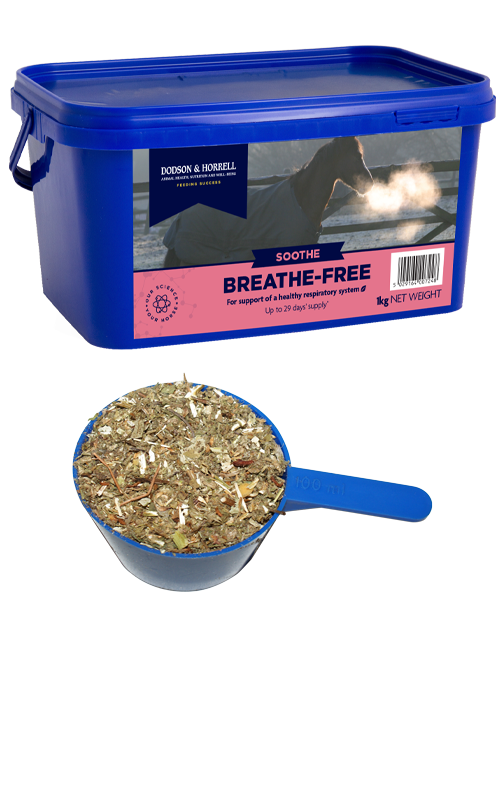 Dodson & Horrell Breathe-Free herbal respiratory support feed in a blue container with a scoop of dried herbs.