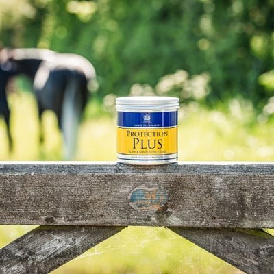 Container of 'Protection Plus' on a wooden fence with a blurred background