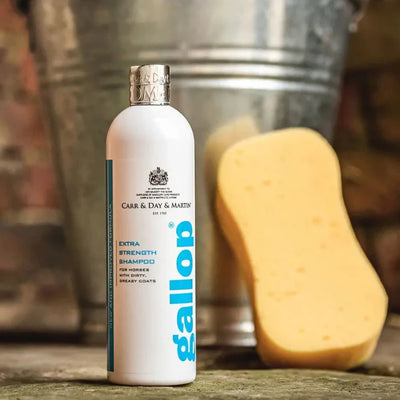 Bottle of Carr & Day & Martin Gallop Extra Strength Shampoo with a sponge and bucket in the background.