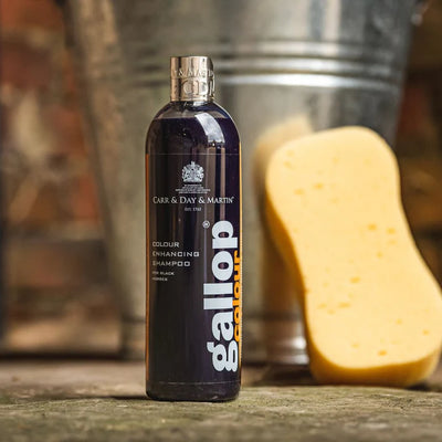 Bottle of Carr & Day & Martin Gallop Colour Enhancing Shampoo with a sponge and bucket in the background.