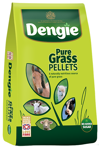 Dengie Grass Pellets 20kg bag high-fibre natural horse feed