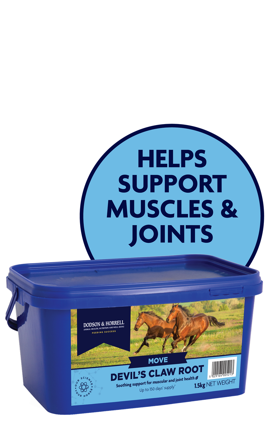 A blue plastic tub of Dordon & Burnett Devil's Claw Root supplement with a large circular blue graphic behind it that reads 'HELPS SUPPORT MUSCLES & JOINTS'.