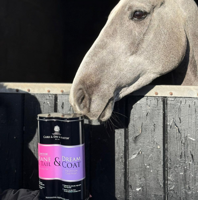 Duo-Tin-with-a-horse