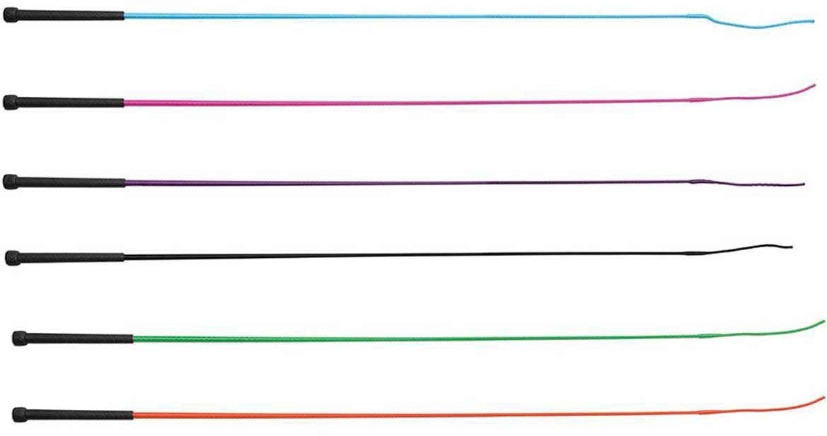 Shires Economy Schooling Whip — 40″