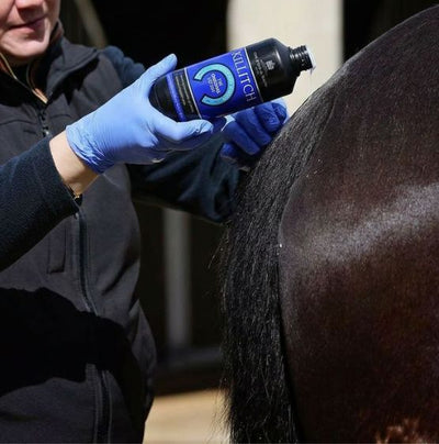 Person applying a product to a horse's skin using a bottle labeled 'KILLITICH'.