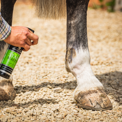 Person applying a green bottle of hoof care product to a horse's hoof on a gravel surface.