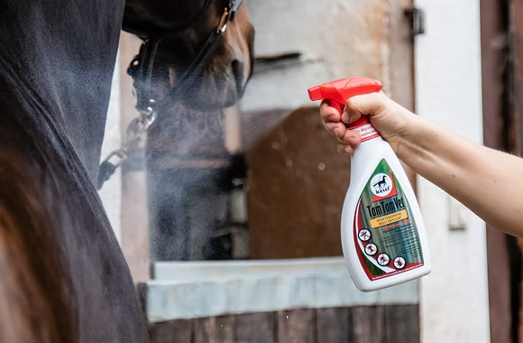 Tam Tam Vet being applied to horse