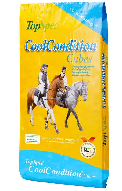 TopSpec CoolCondition Cubes