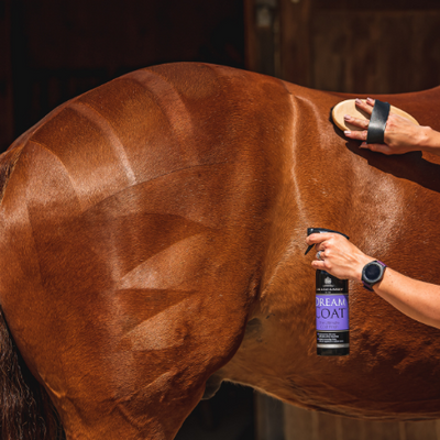 Horse coat with high gloss shine using DreamCoat