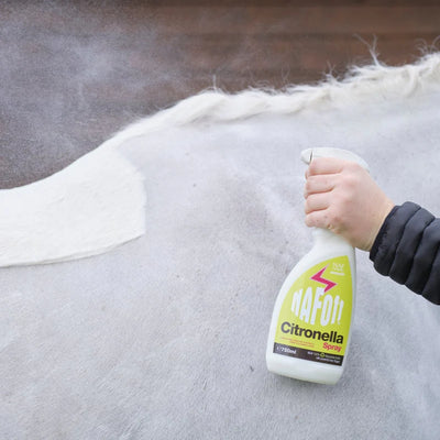 Horse being sprayed with citronella fly spray