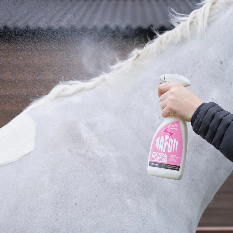 Horse fly spray being applied to coat for summer protection