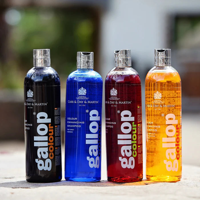 Four bottles of Carr & Day & Martin Gallop Colour shampoo in different colors on a blurred background.