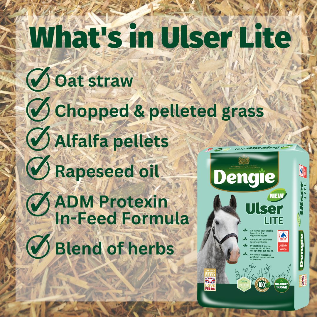 Promotional graphic for Dengie Ulser Lite horse feed, showing a bag of the product on the right and a list of ingredients on the left over a straw background. Ingredients listed include oat straw, chopped and pelleted grass, alfalfa pellets, rapeseed oil, ADM Protein In-Feed Formula, and a blend of herbs.