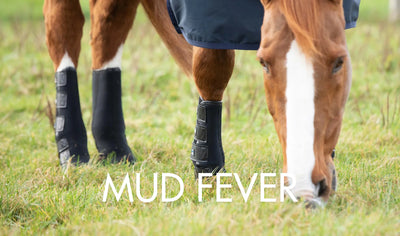 Understanding Mud Fever