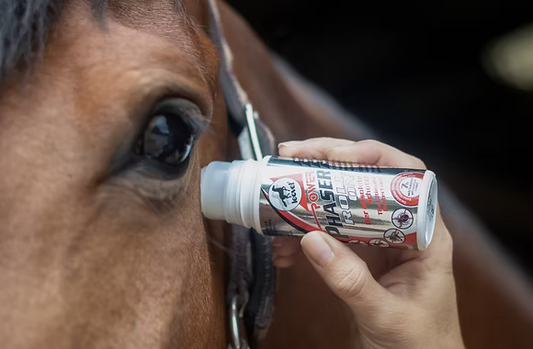Best Fly Spray for Horses UK: How to Choose the Right Protection for Your Horse