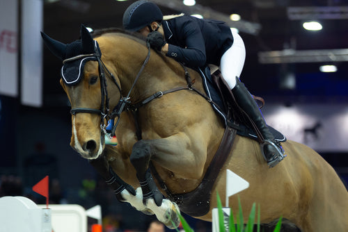 FEI Banned List for Supplements: A Guide for Riders
