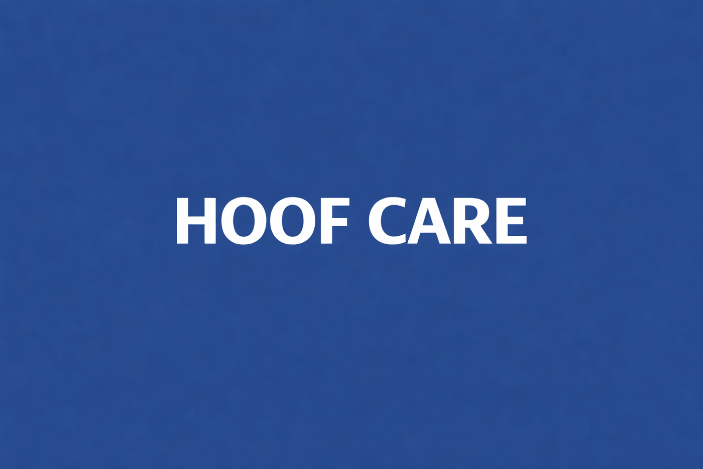 Hoof Care