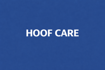 Hoof Care
