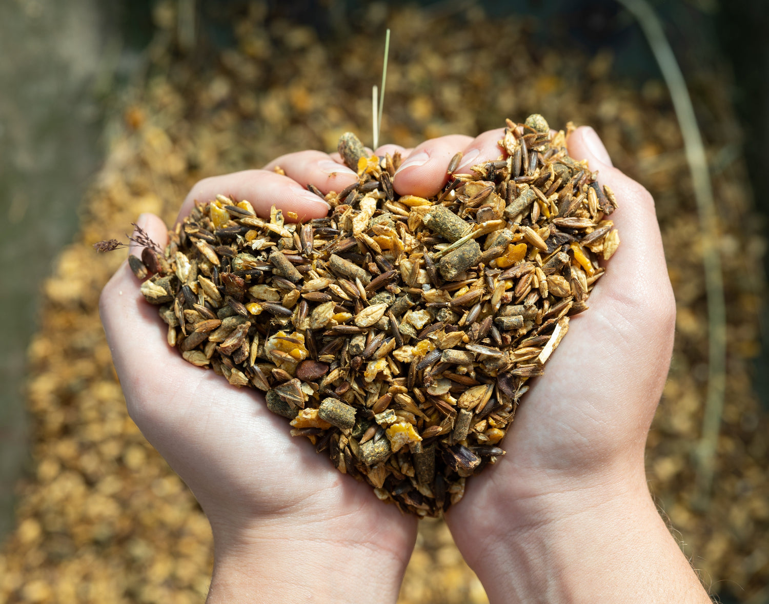 Hands holding horse feed in heart shape