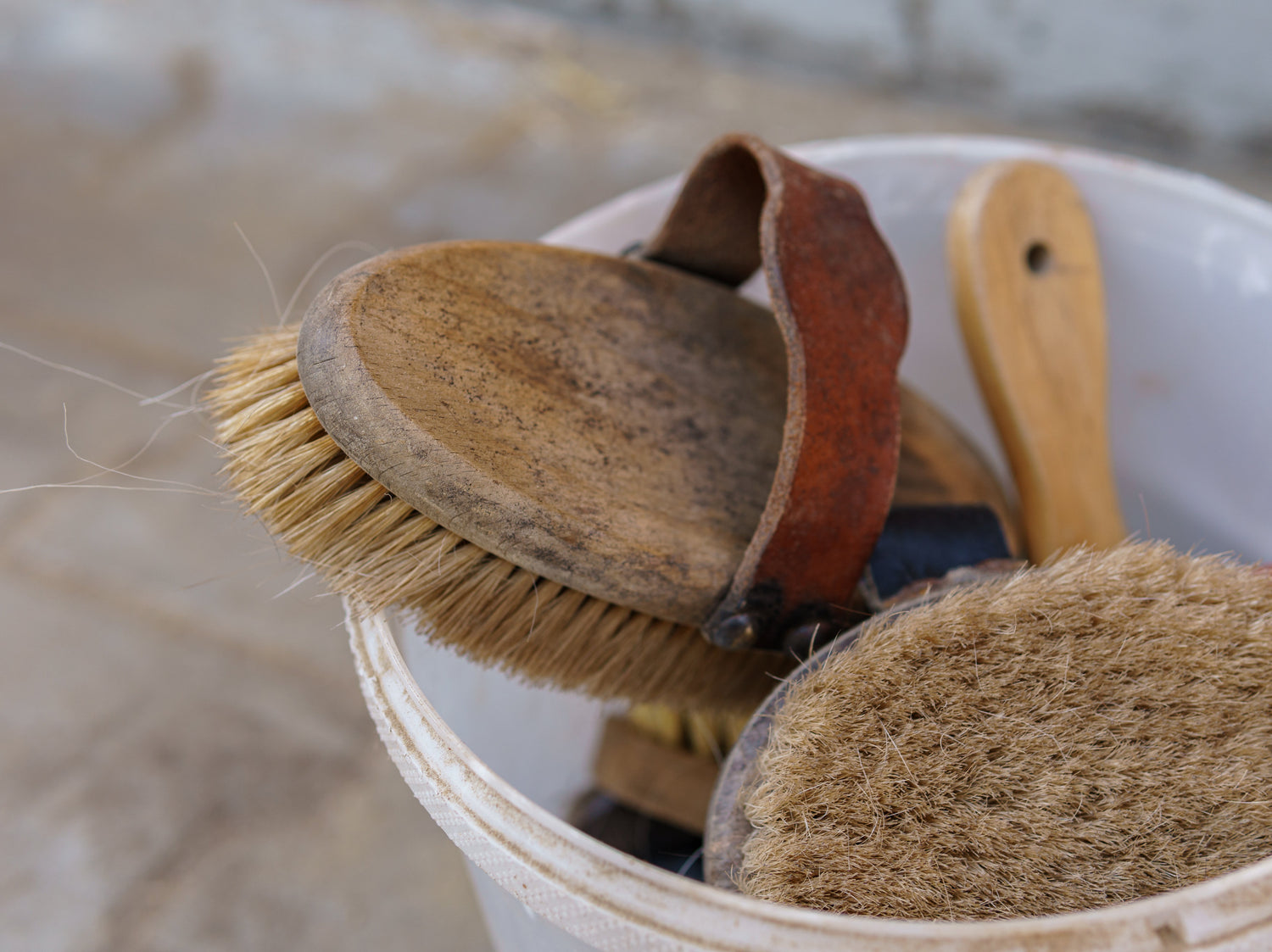 Grooming Brushes in bucket