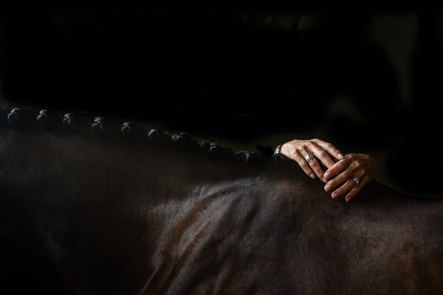 Horses mane plaited