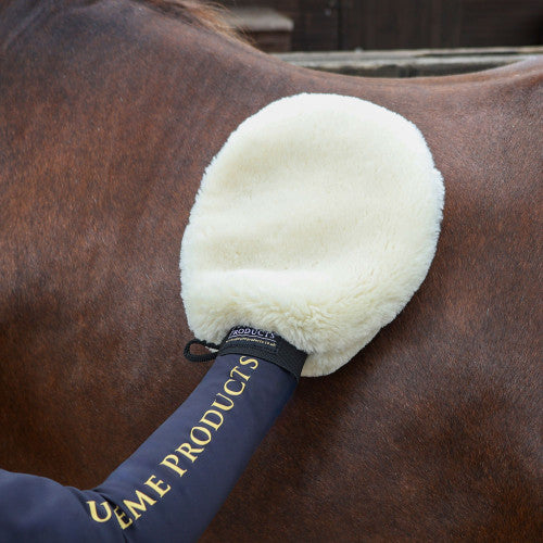 Grooming mitt being used on horse coat