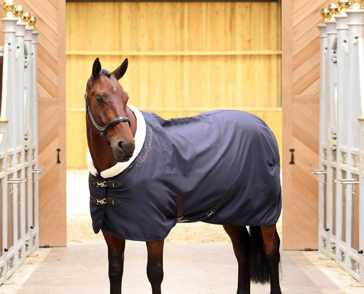 Shires Deluxe Stable Sheet - Navy on Bay horse