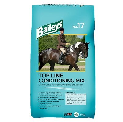 Bag of Baileys No.17 Top Line Conditioning Mix