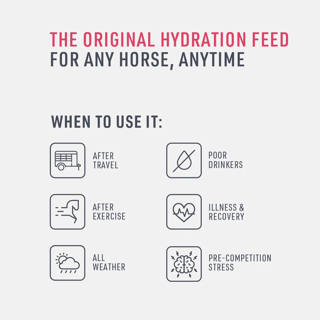 Promotional graphic for a hydration feed for horses with icons and text on a white background.