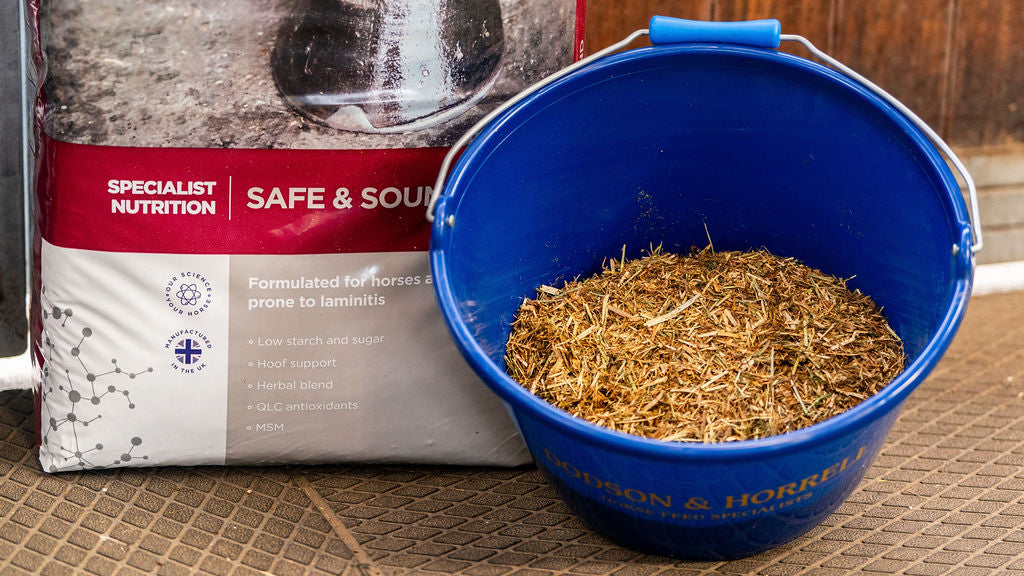 Blue bucket filled with horse feed next to a bag of specialist nutrition horse feed on a wooden floor.