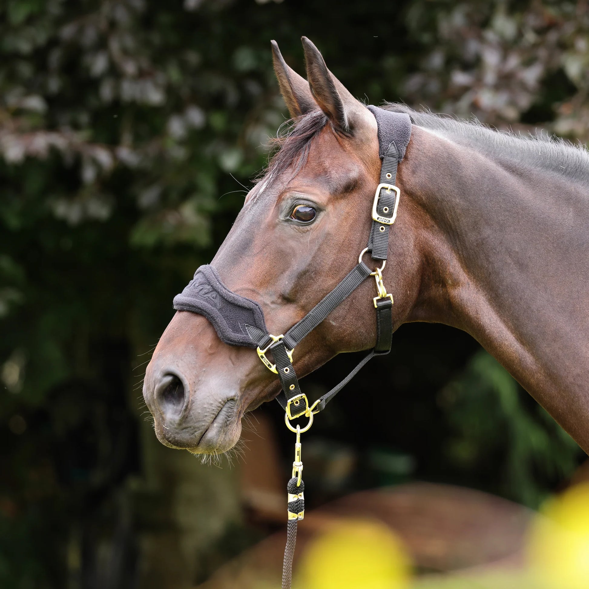 Horse headcollar with cushioned fleece headpiece and shiny metal fittings