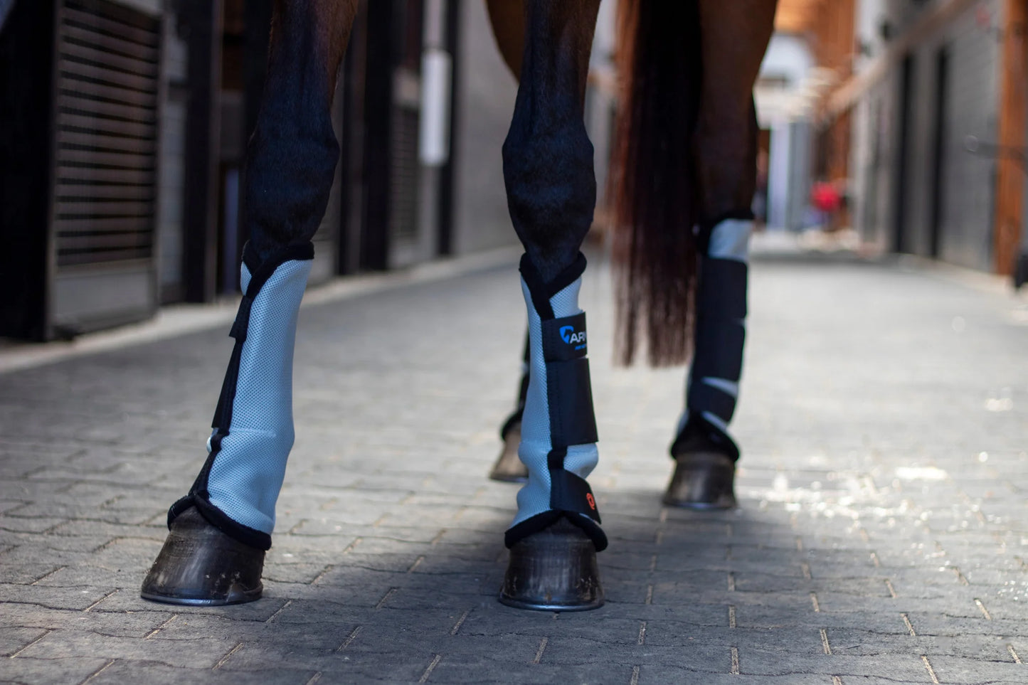 ARMA Fly Boots Black on horse