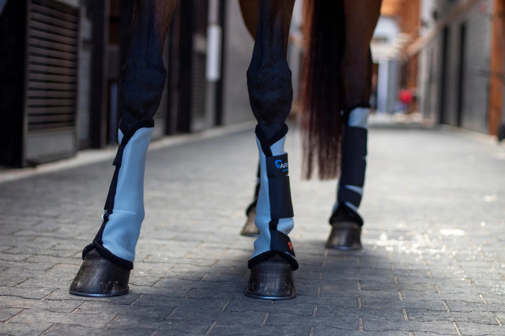ARMA Fly Boots Black on horse