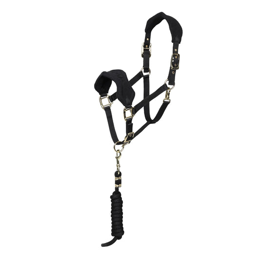Horse headcollar with cushioned fleece headpiece and shiny metal fittings