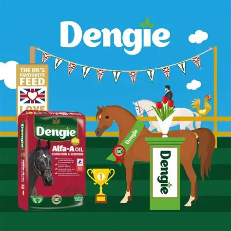 Dengie horse feed packaging and a stylized equestrian scene. A red box of Dengie Alfa-A-Oil condition and performance feed is shown beside a brown horse wearing a green Dengie sash, with a trophy, podium, and a blue sky background with bunting and clouds.