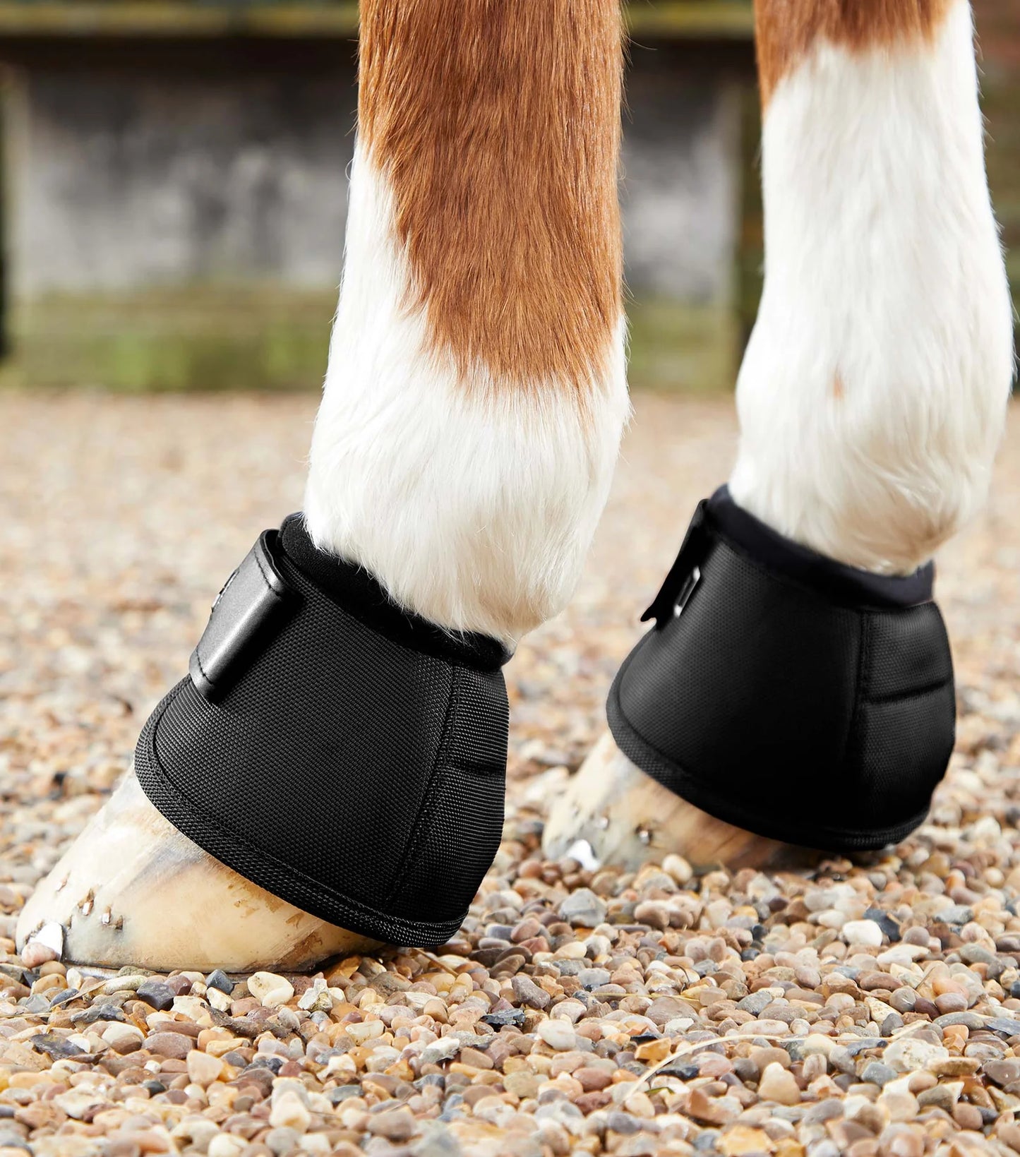 Black Premier Equine Overreach boot on horses hoof