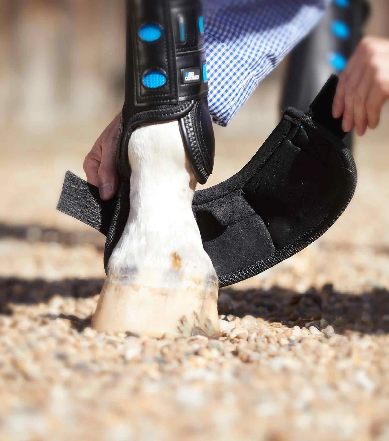 Black Premier Equine Overreach boot being put on horses hoof
