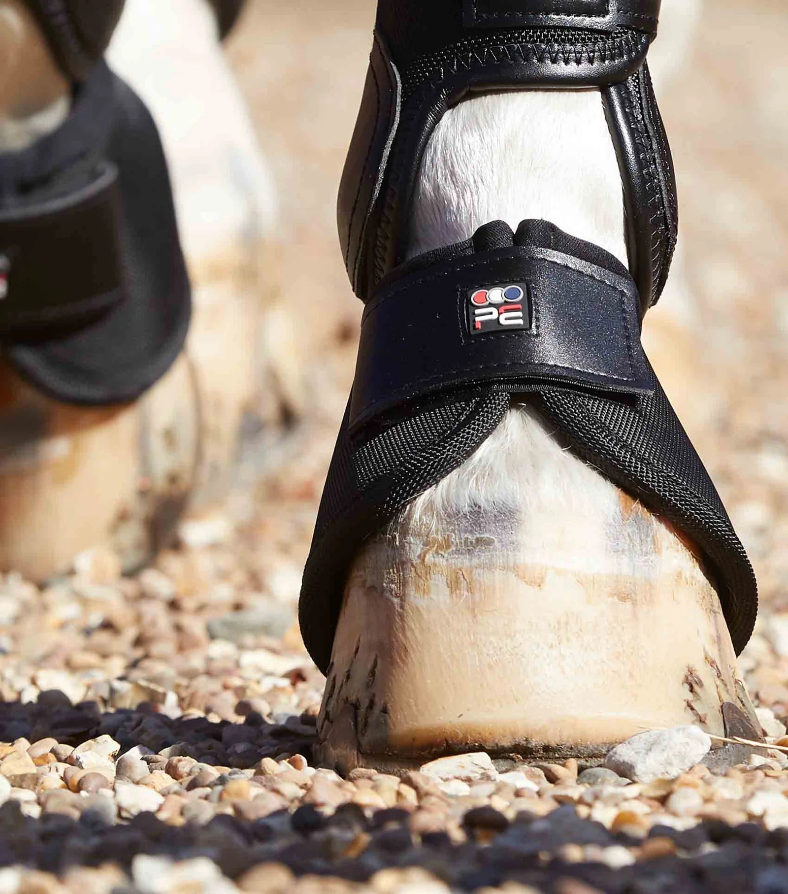 Close-up of a horse's hoof with protective boot on a gravel surface