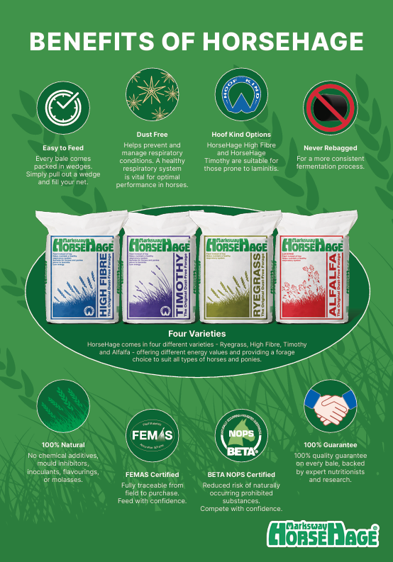 An informational green poster titled 'BENEFITS OF HORSEHAGE' with multiple product bags of Horsehage horse feed shown in the center, surrounded by benefit icons and text about natural, dust-free, hoof-kind options, FEMAS certification, and other advantages.
