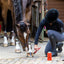 Horse hoof treated with Vanner Prest Hoof Oil