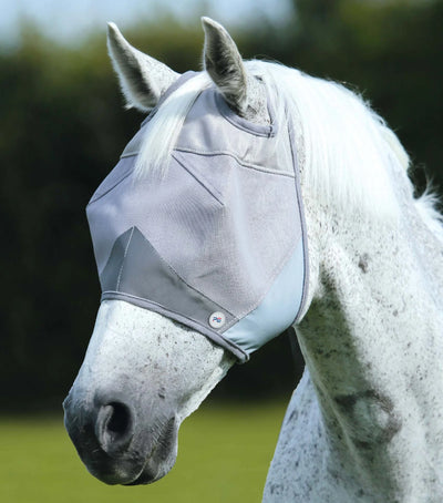 White horse wearing a gray fly mask with a blurred green background