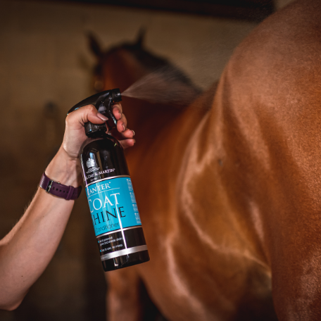 Person holding a bottle of 'Coat Shine' spray towards a horse in a stable.