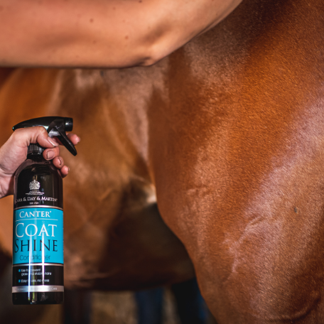 Person holding a bottle of 'Canter Coat Shine' spray next to a horse