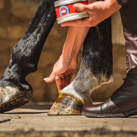 Person examining a horse's hoof with a can of hoof treatment