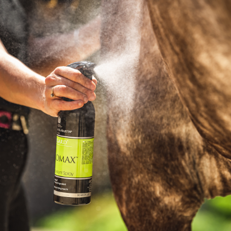 Person using a Citromax spray bottle on a horse