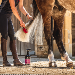 Person grooming a horse with a brush, bottle of horse care product on the ground.
