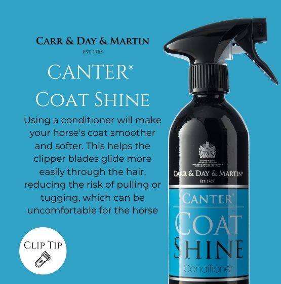 Carr & Day & Martin Canter Coat Shine bottle on a blue background with text about horse care.