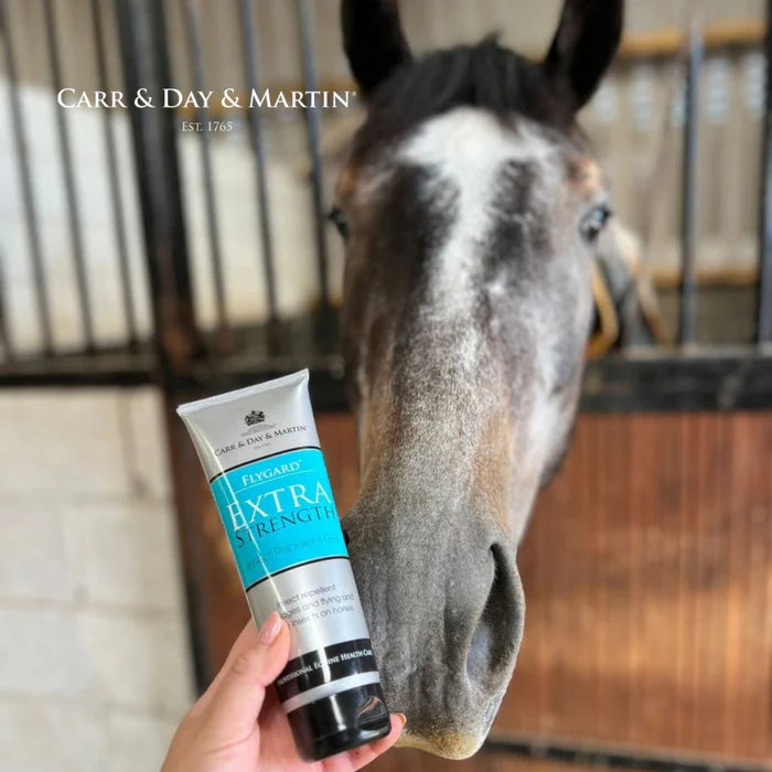 Horse looking at a tube of Carr & Day & Martin Extra Strength product in a stable.