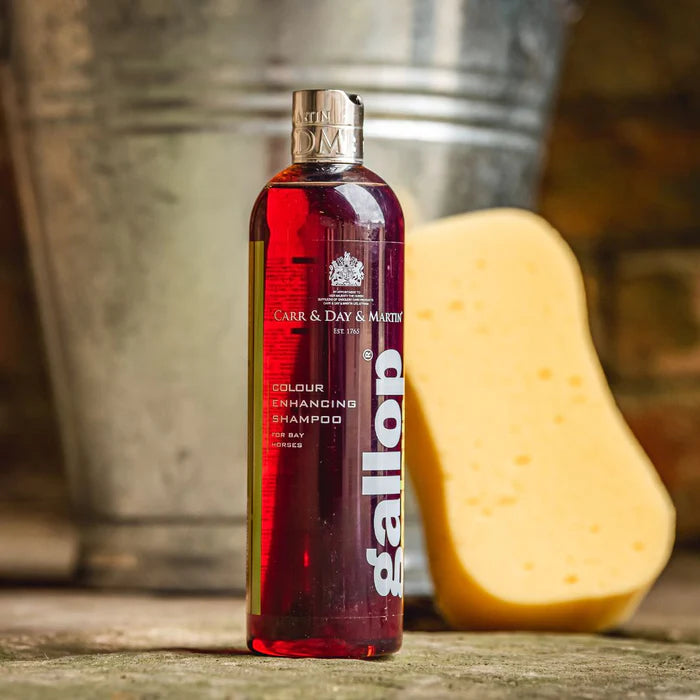 Bottle close up of Gallop Colour Enhancing Shampoo Bay