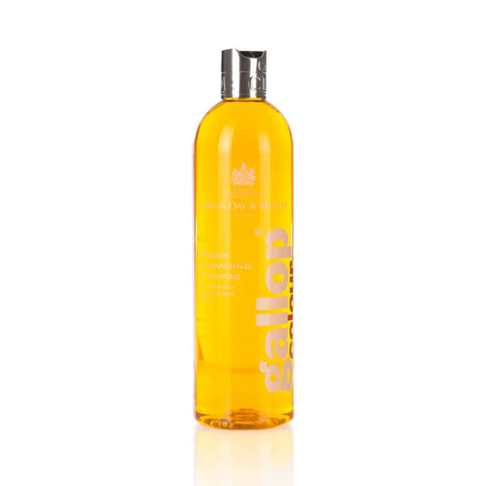 Carr & Day & Martin Gallop Colour Enhancing Shampoo 500ml for Chestnut & Palomino horses